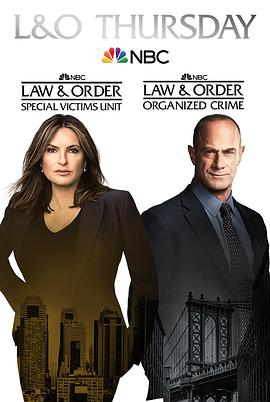 法律与秩序：组织犯罪第二季 第15集