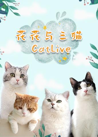 花花与三猫catlive 20190801期