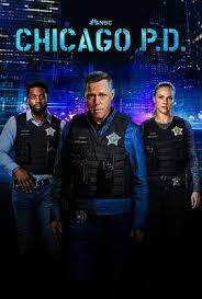 芝加哥警署 第十一季 第05集