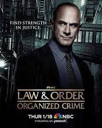 法律与秩序：组织犯罪 第四季 第03集